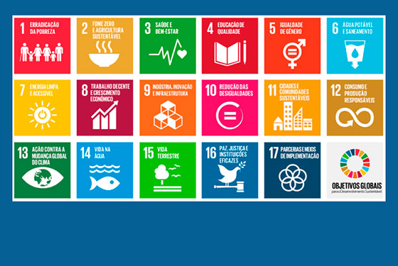 Imagem da arte da Agenda 2030 da ONU. São 18 quadradinhos postos um do lado do outro em quatro linhas e 6 colunas. Cada quadradinho tem um desenho que representa um dos 17 Objetivos de Desenvolvimento Sustentável