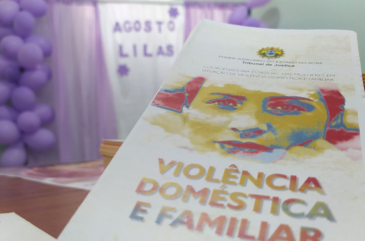 Foto mostrando o folder da Comsiv onde está escrito: Violência doméstica e familiar", ao fundo um painel com panos e balões lilás e escrito "Agosto Lilás"