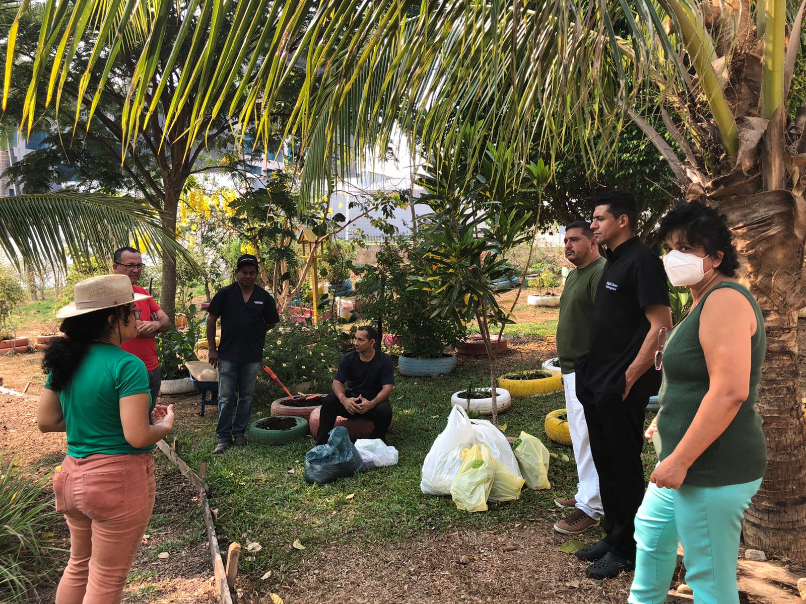 Fotos de pessoas conversando em volta da horta