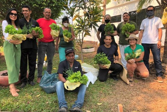 Foto de pessoas segurando folhas colhidas da horta