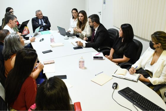 Imagem da mesa de reuniões com o desembargador Francisco Djalma e a juíza Andrea Brito e os demais participantes.